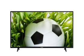 Televize Hyundai FLN 55T287 
