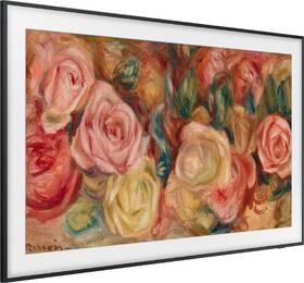 Televize Samsung QE50LS03D 
