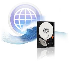 Pevný disk 3,5" Western Digital 500GB 
