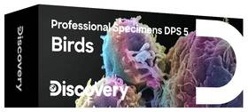 Sada Discovery Prof Specimens DPS 5. „PTÁCI“ 
