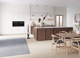 Tyčový vysavač Electrolux WQ71-50IB 
