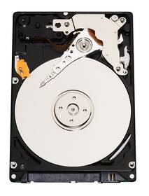 Pevný disk 2,5" Western Digital 250GB 
