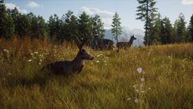 Hra THQ Nordic PlayStation 5 Way of the Hunter 
