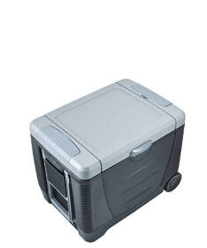 Autochladnička G21 C&W, 45 l, 12/230 V šedá barva
