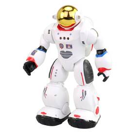 Robot MaDe Zigy 

