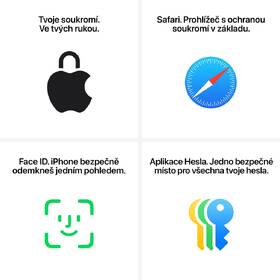Mobilní telefon Apple 128 GB černý titan 
