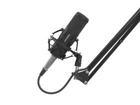 Mikrofon Genesis RADIUM 300, XLR černá barva

