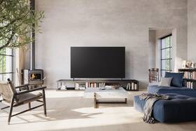 Televize Panasonic TX-65MX800E 
