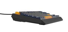 Klávesnice Genesis THOR 230, TKL, RGB, Outemu Panda, US layout, šedo-modrá, černá 
