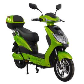 Elektroskútr RACCEWAY E-FICHTL sv.zelený-metalický  20Ah 
