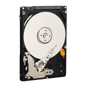 Pevný disk 2,5" Western Digital 250GB 
