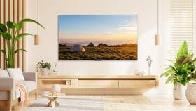 Televize TCL 43P655 
