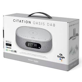 Reproduktor Harman Kardon Citation Oasis šedá barva
