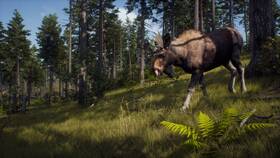 Hra THQ Nordic PlayStation 5 Way of the Hunter 
