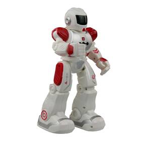 Robot MaDe Viktor 
