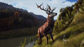 Hra THQ Nordic PlayStation 5 Way of the Hunter 
