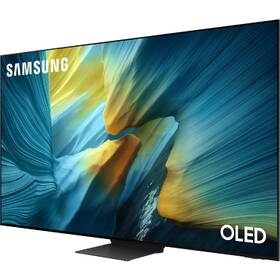 Televize Samsung QE65S95F 

