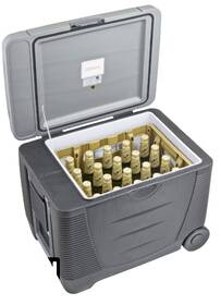 Autochladnička G21 C&W, 45 l, 12/230 V šedá barva
