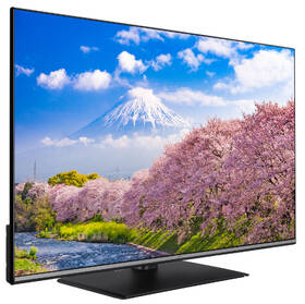 Televize JVC LT-43VF5305 

