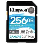 Paměťové karty SD s kapacitou 256 GB