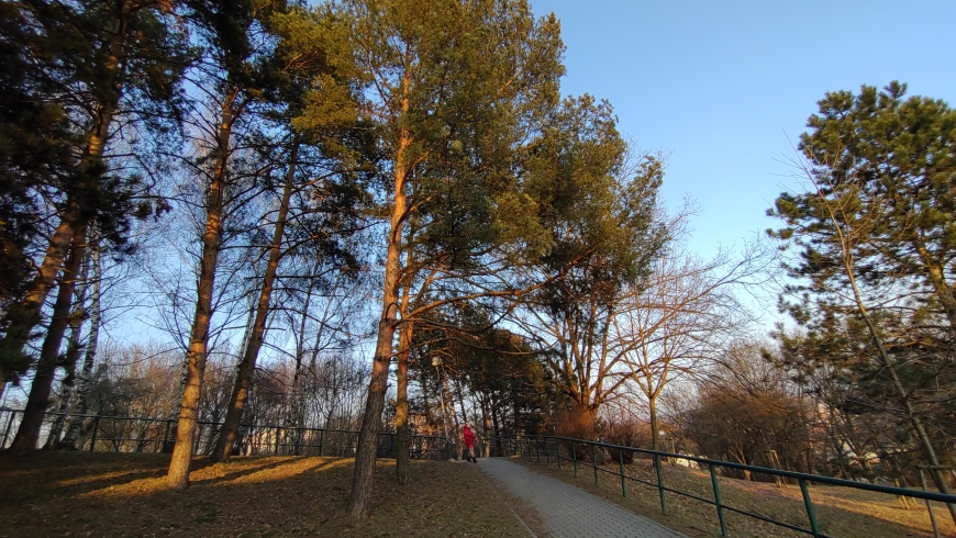 Recenze: Sony Xperia 10 III – kompaktní telefon s podporou 5G Sony Xperia 10 III - ukázkové foto