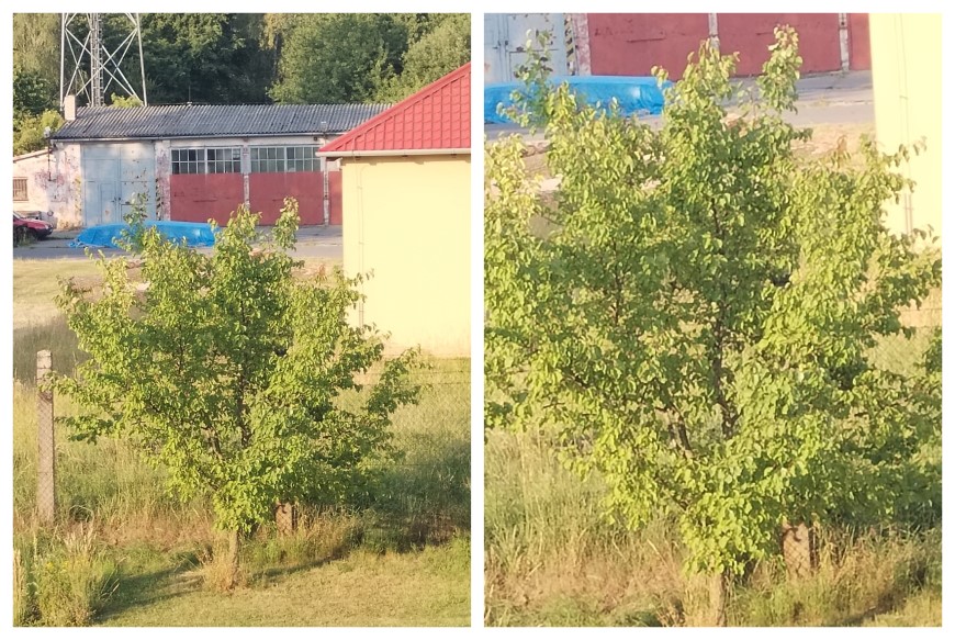 Ukázkové snímky Honor X8 zoom