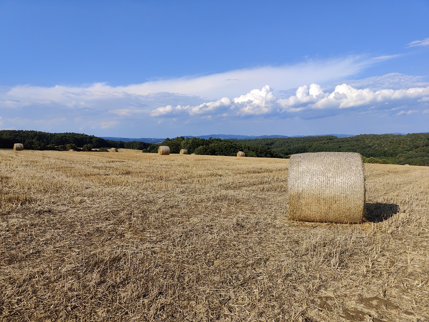 Test fotomobilů