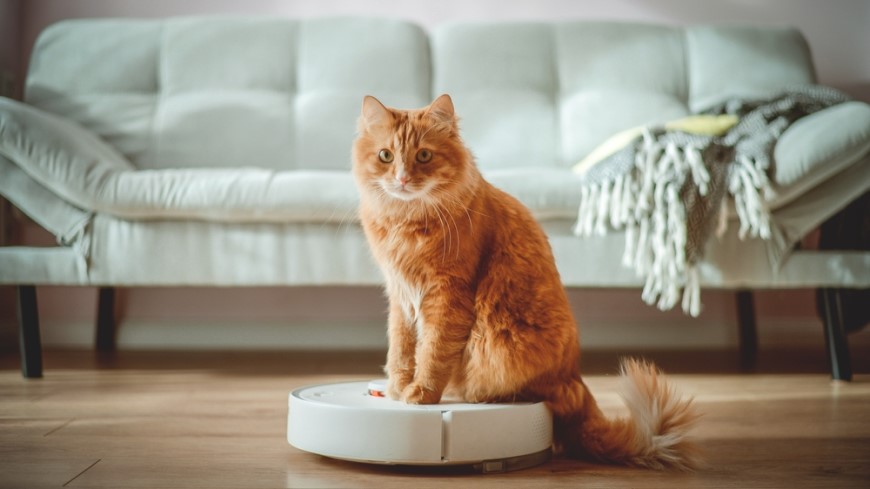 Jak vybrat robotický vysavač? Nejlepší robotický vysavač na zvířecí chlupy