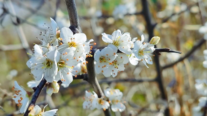 Fotografie z Xiaomi 13 Lite