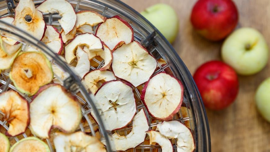 5 důvodů, proč si pořídit sušičku ovoce Proč si pořídit sušičku ovoce
