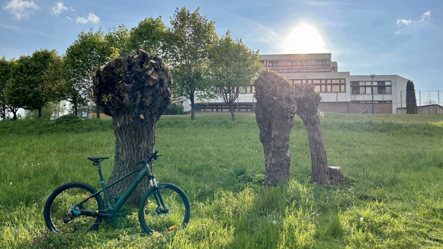 Recenze elektrokola Canull MAOT+ HD over 630 green: Vezměte za kliku a vjeďte do světa elektromobility