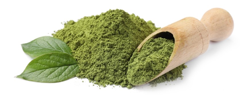 Jak připravit Matcha Tea matcha tea