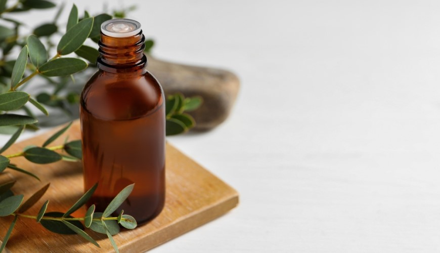 Domácí masáž: Pohodlí a relaxace v každém okamžiku Domácí masáž