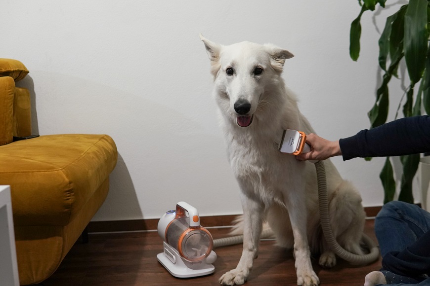 eta_petmaster_recenze_furminator