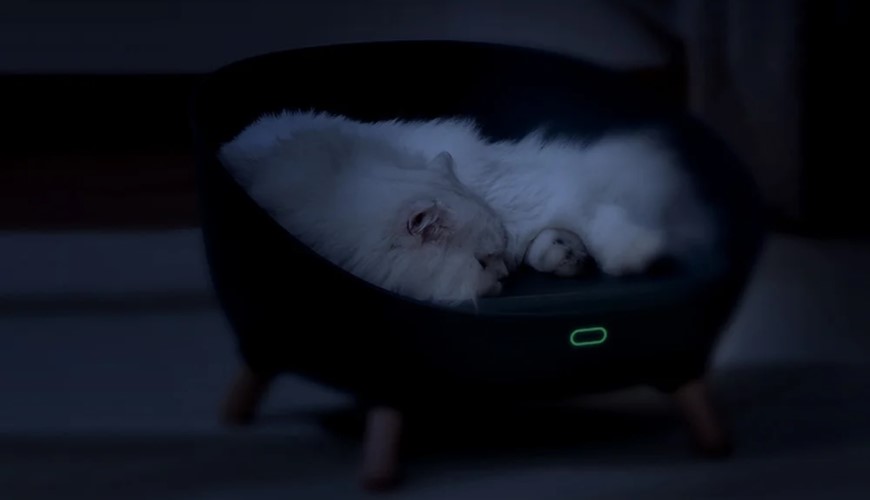 Vaši mazlíčci si zaslouží to nejlepší, dopřejte chytrou domácnost i jim Roztomilá kočka ležící ve tmě v chytrém pelíšku.