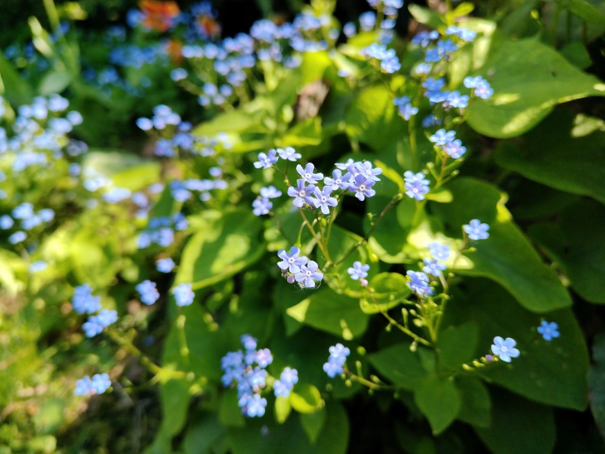 realme 14 pro+