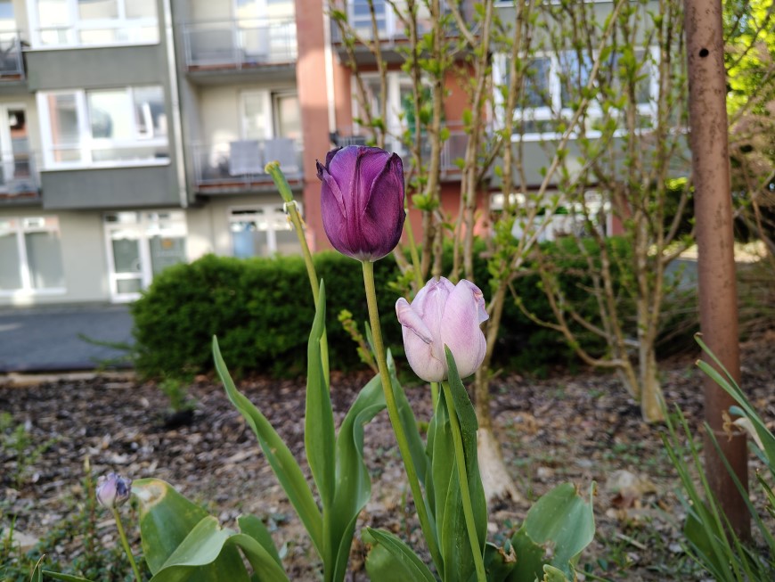realme_14_Pro+