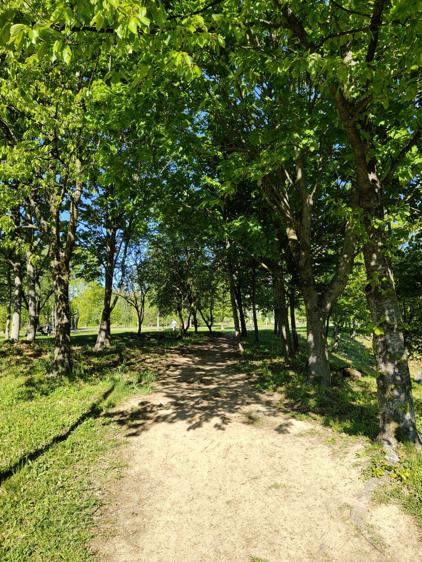 realme_14_Pro+