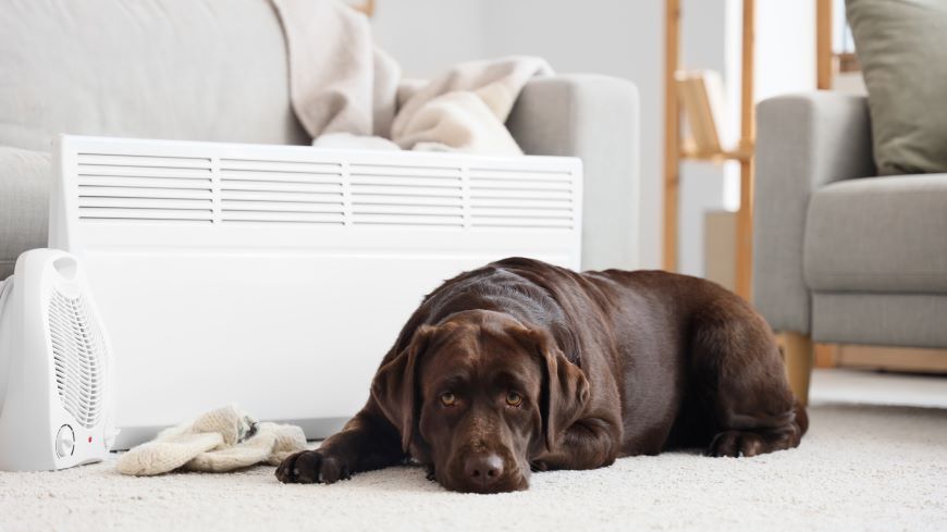 Jak vybrat ventilátor? Podlahový ventilátor
