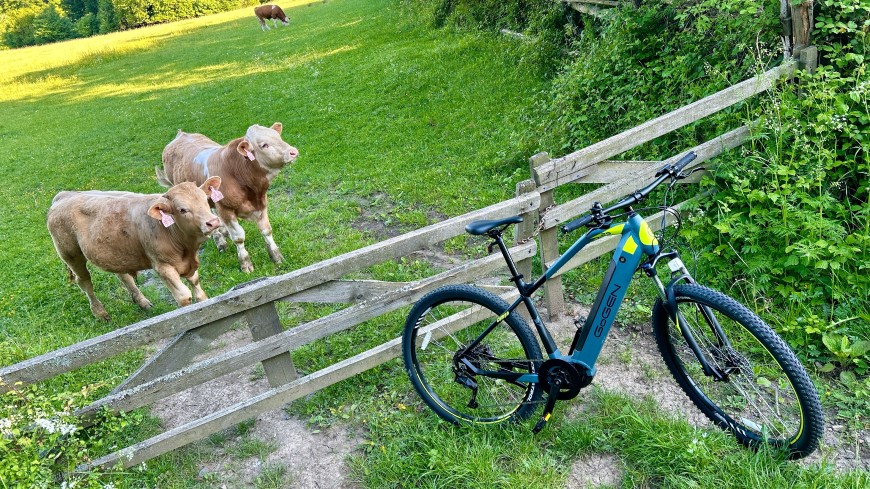 Recenze: Elektrokolo GoGEN Campo MX 720 – Když srdce velí Go a dobrodružství máte v GENech Horské elektrokolo GoGEN Campo MX 720 v terénu