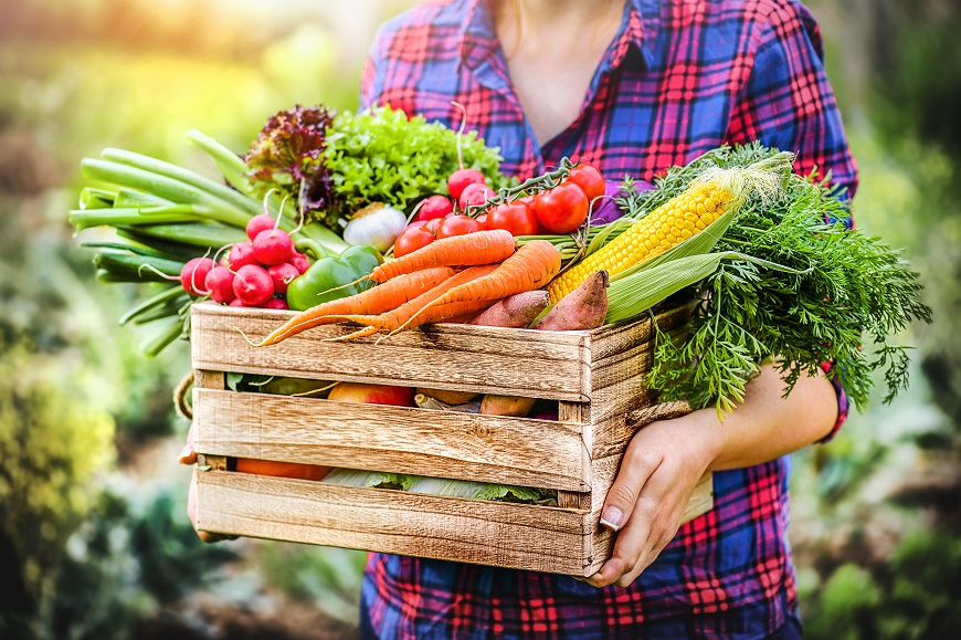 Schovejte si kousek léta na zimu. Spotřebiče ETA dokonale zpracují úrodu Žena drží dřevěnou bedýnku plnou čerstvé farmářské zeleniny – mrkev, ředkvičky, kukuřice, jarní cibulka a rajčata.