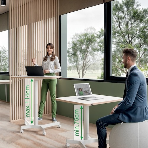 Předcházejte bolestem při práci díky ergonomickému příslušenství Leitz a Kensington Předcházejte bolestem při práci díky ergonomickému příslušenství Leitz a Kensington