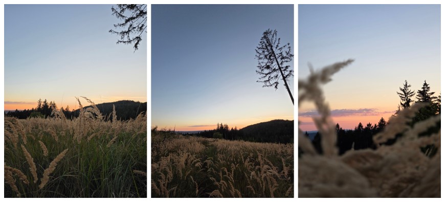 Z Fold7