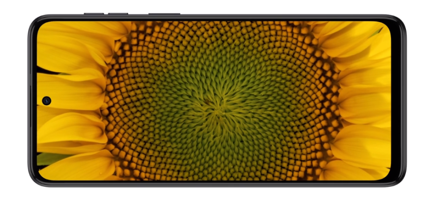 snímek slunečnice na telefonu Motorola Moto G54 5G