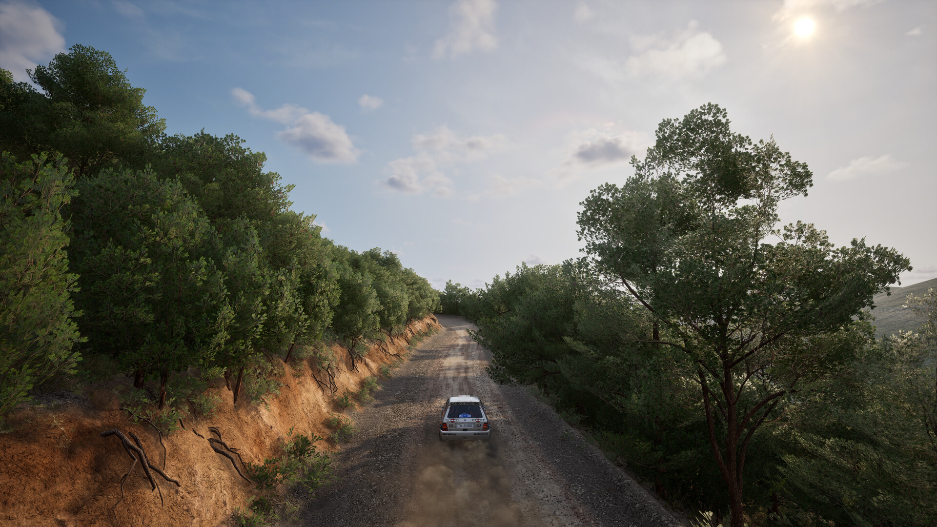 Assetto Corsa Rally: Šampion v simracingovém realismu Cesta v prosluněné krajině, po silnici jede závodní auto