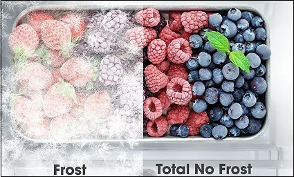 bobulovite ovoce v mrazaku. Na jedne pulce je namraza a led a na druhe pulce neni, diky technologii Total NoFrost
