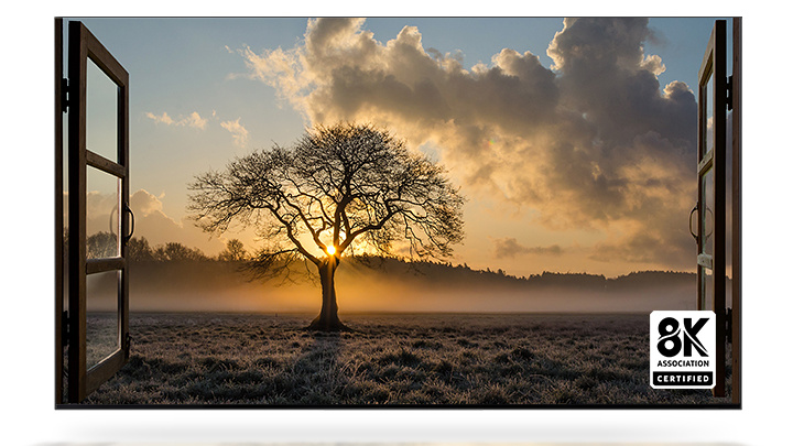 tv_samsung_pro_rok_2021