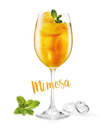 5 famózních receptů na drinky ze „sodamejkru“ Tescoma_drinky_05