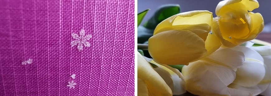 Recenze Samsung Galaxy S21 Ultra 5G: Vlajková loď sbírá ovace makro+hdr