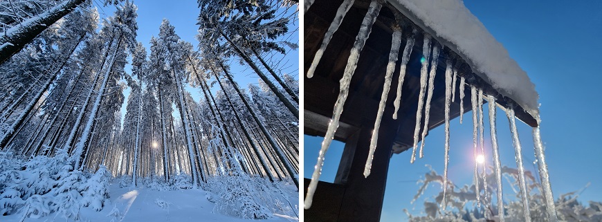 Recenze Samsung Galaxy S21 Ultra 5G: Vlajková loď sbírá ovace ukazka_foto_4